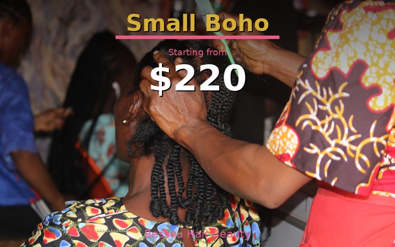 Small Boho Braids